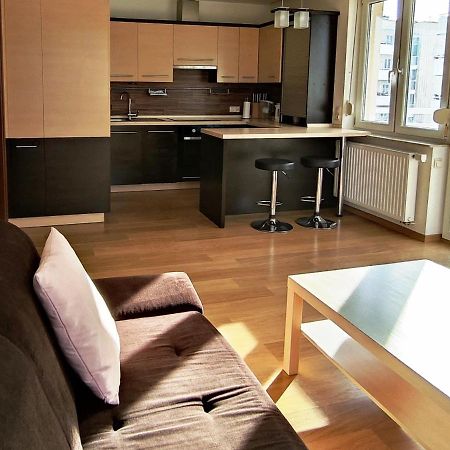 Apartament F&J #12 Stary Toruń Kültér fotó